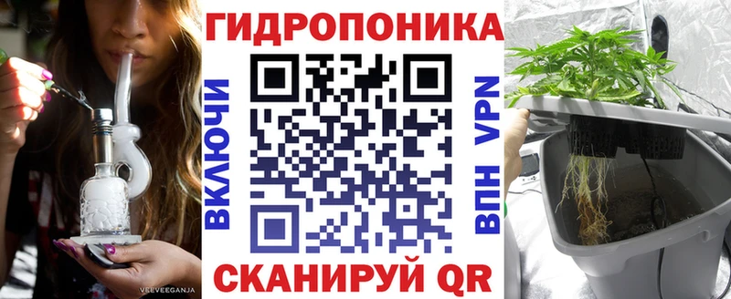 shop официальный сайт  Пошехонье  Каннабис VHQ  блэк спрут онион 